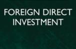 Поступление прямых иностранных инвестиций в экономику Беларуси в 2010 году